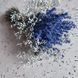 Букет сухоцвітів лаванди та гіпсофіли 0018 фото 3