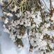 Статиця сухоцвіт біла 10 гілочок 0121 фото 3